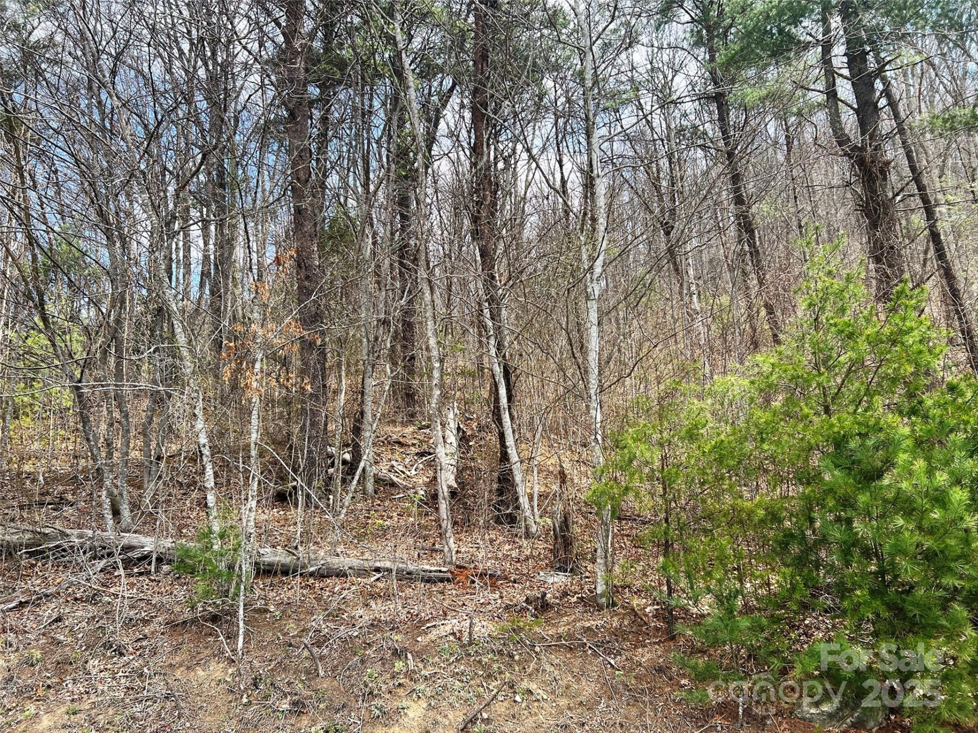 TBD Moonbeam Lane #101 & 102 - Photo 16