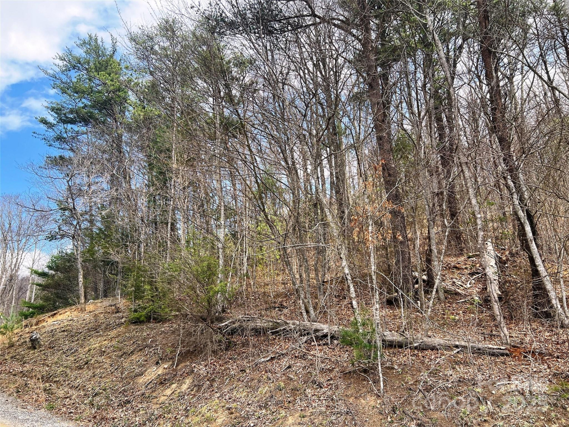 TBD Moonbeam Lane #101 & 102 - Photo 17