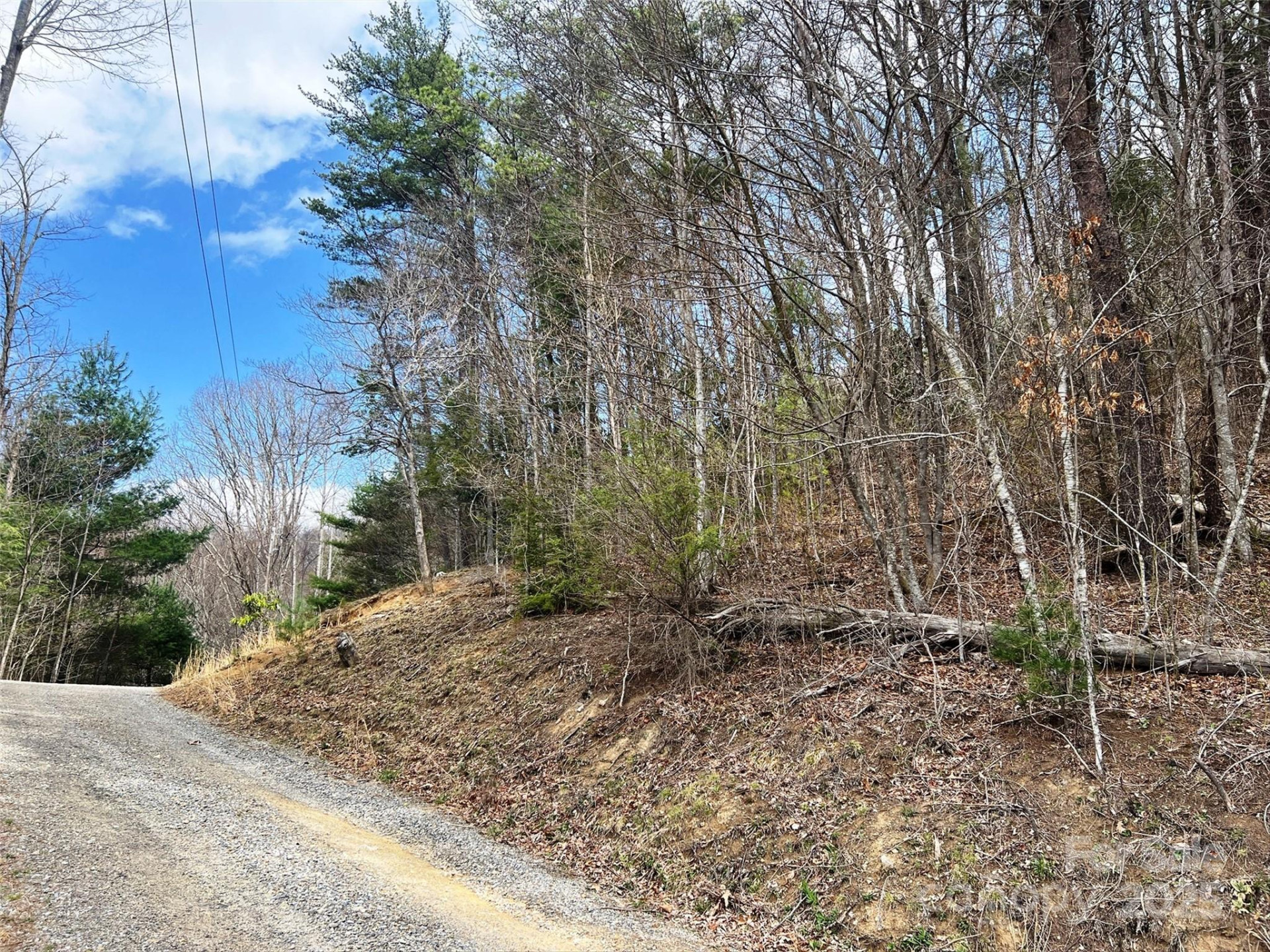 TBD Moonbeam Lane #101 & 102 - Photo 18