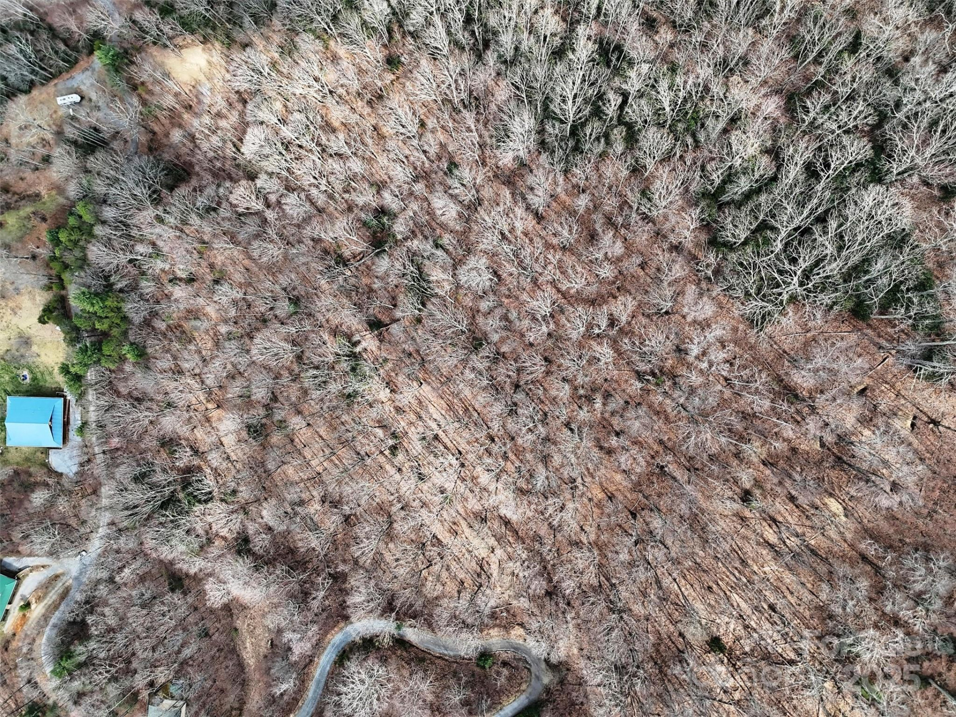 TBD Moonbeam Lane #101 & 102 - Photo 19