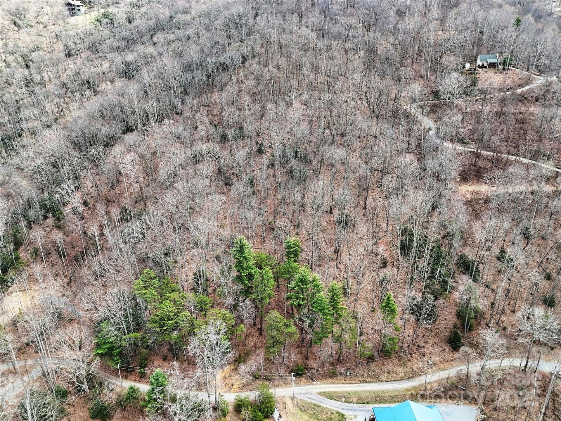 TBD Moonbeam Lane #101 & 102 - Photo 6