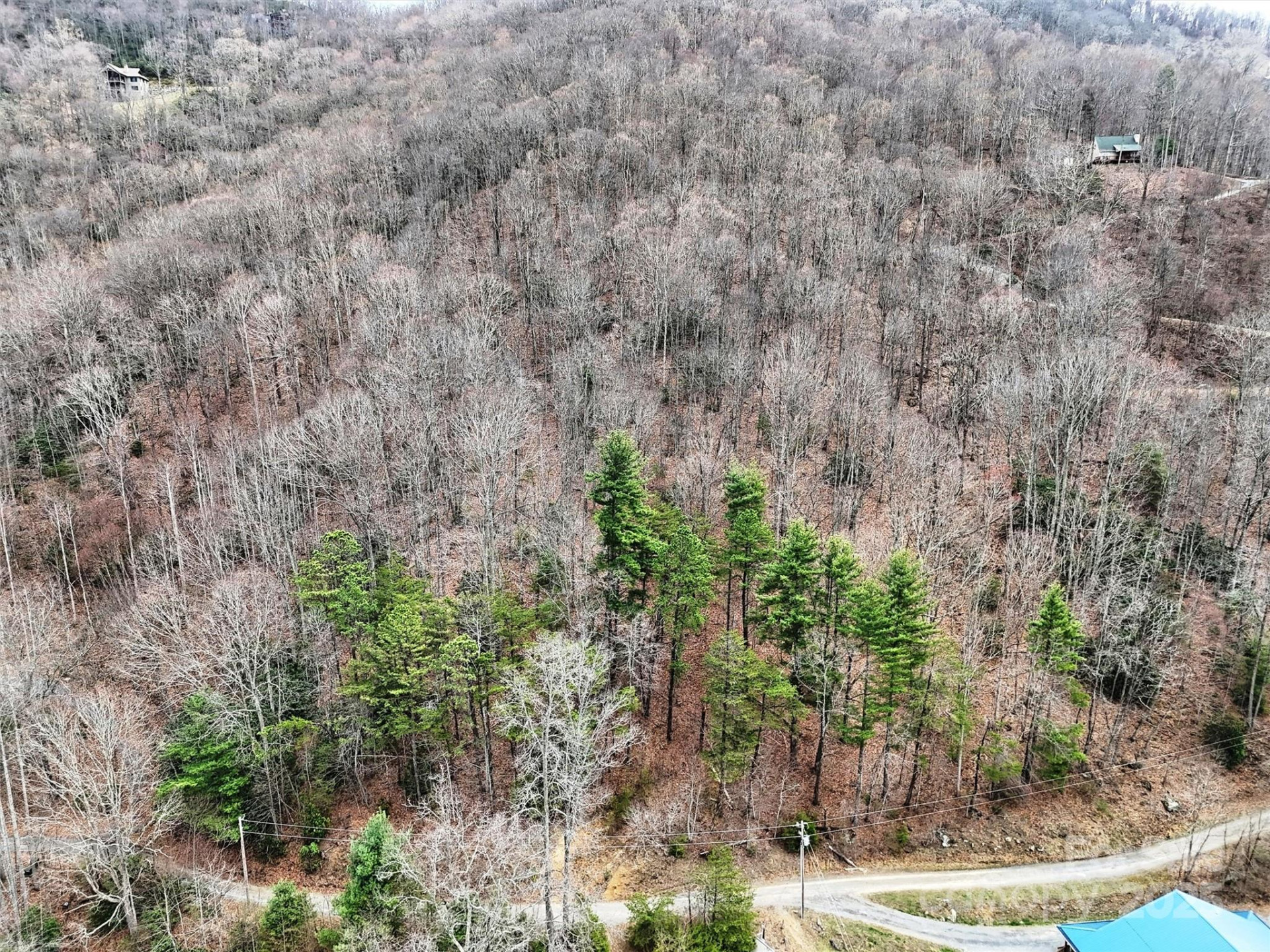 TBD Moonbeam Lane #101 & 102 - Photo 8