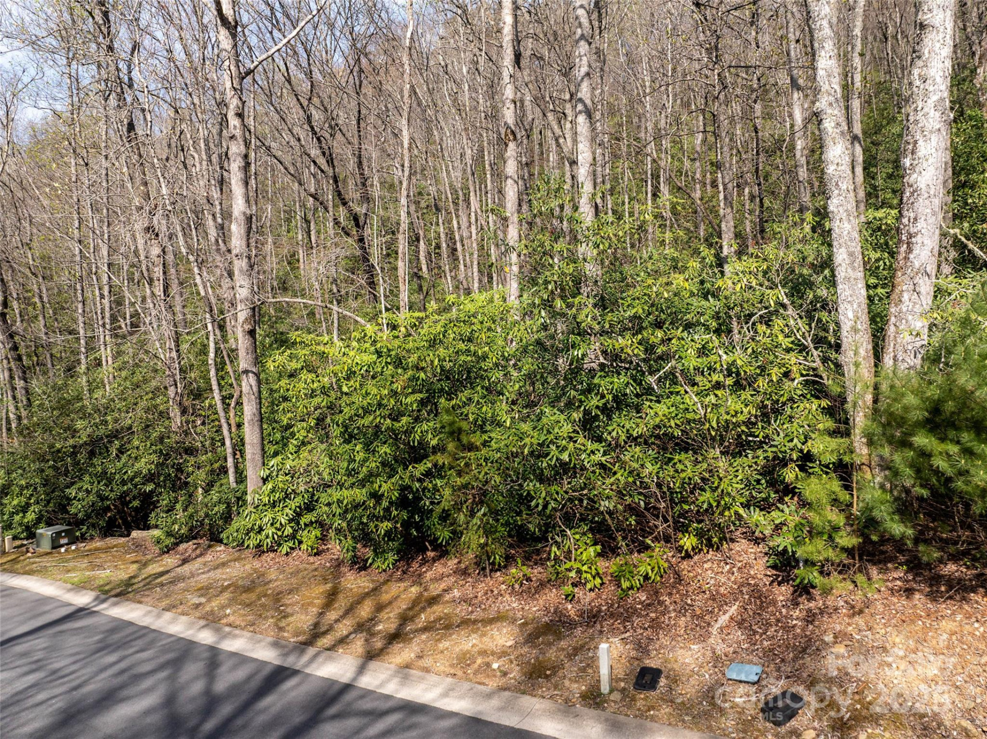 50 Settings Boulevard - Photo 6