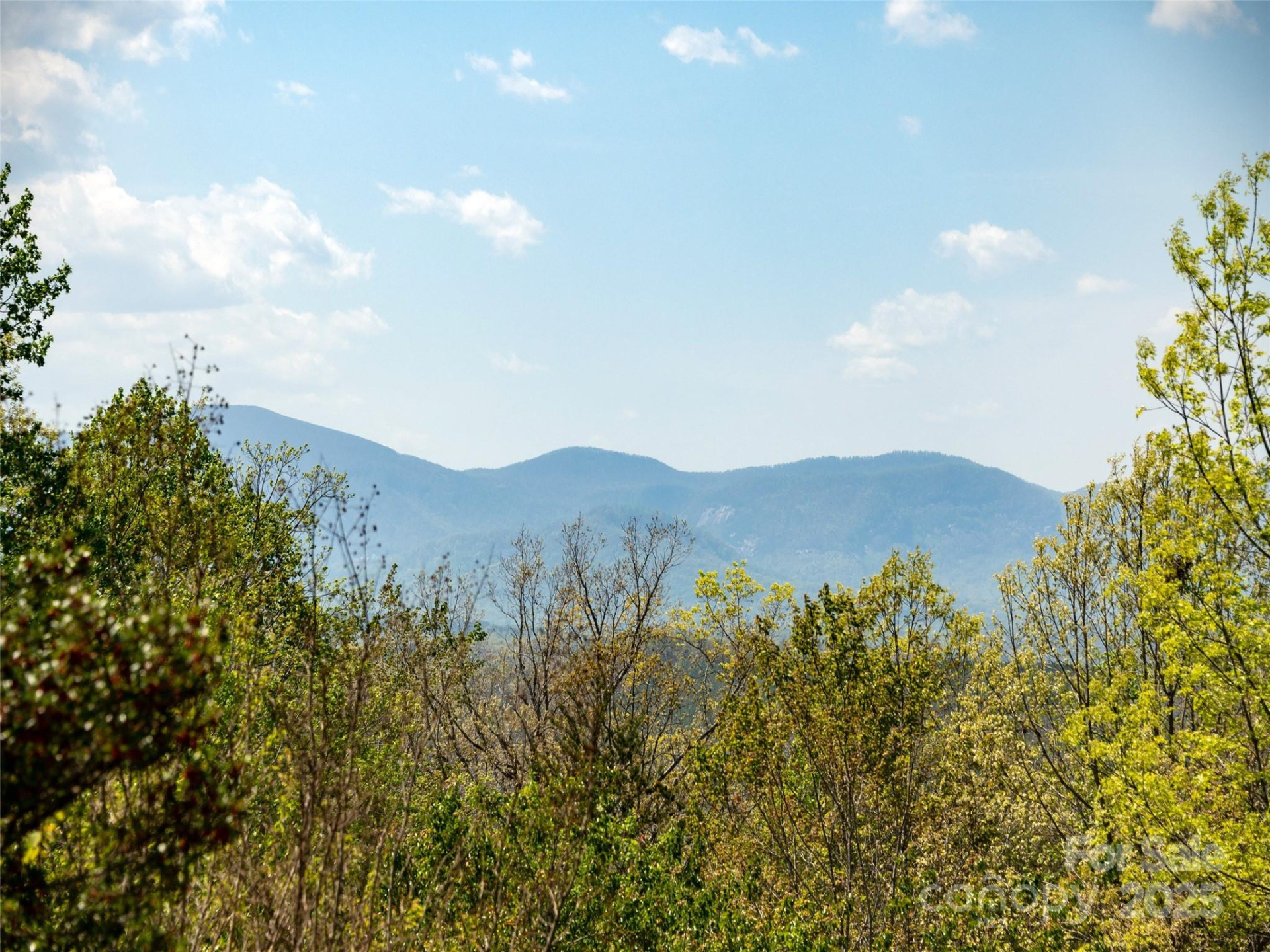 632 Hidden Hills Drive - Photo 29