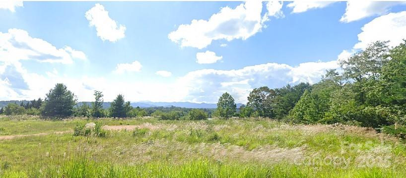 2487 Sweeten Creek Road - Photo 4
