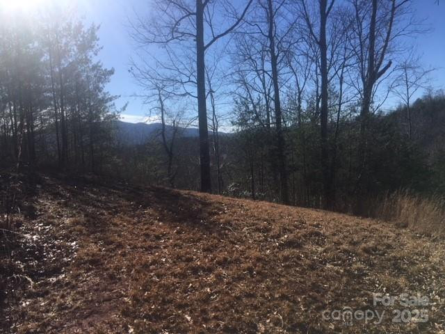 30 Mountain Parkway - Photo 2