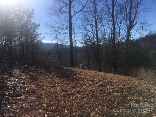 30 Mountain Parkway - Photo 2