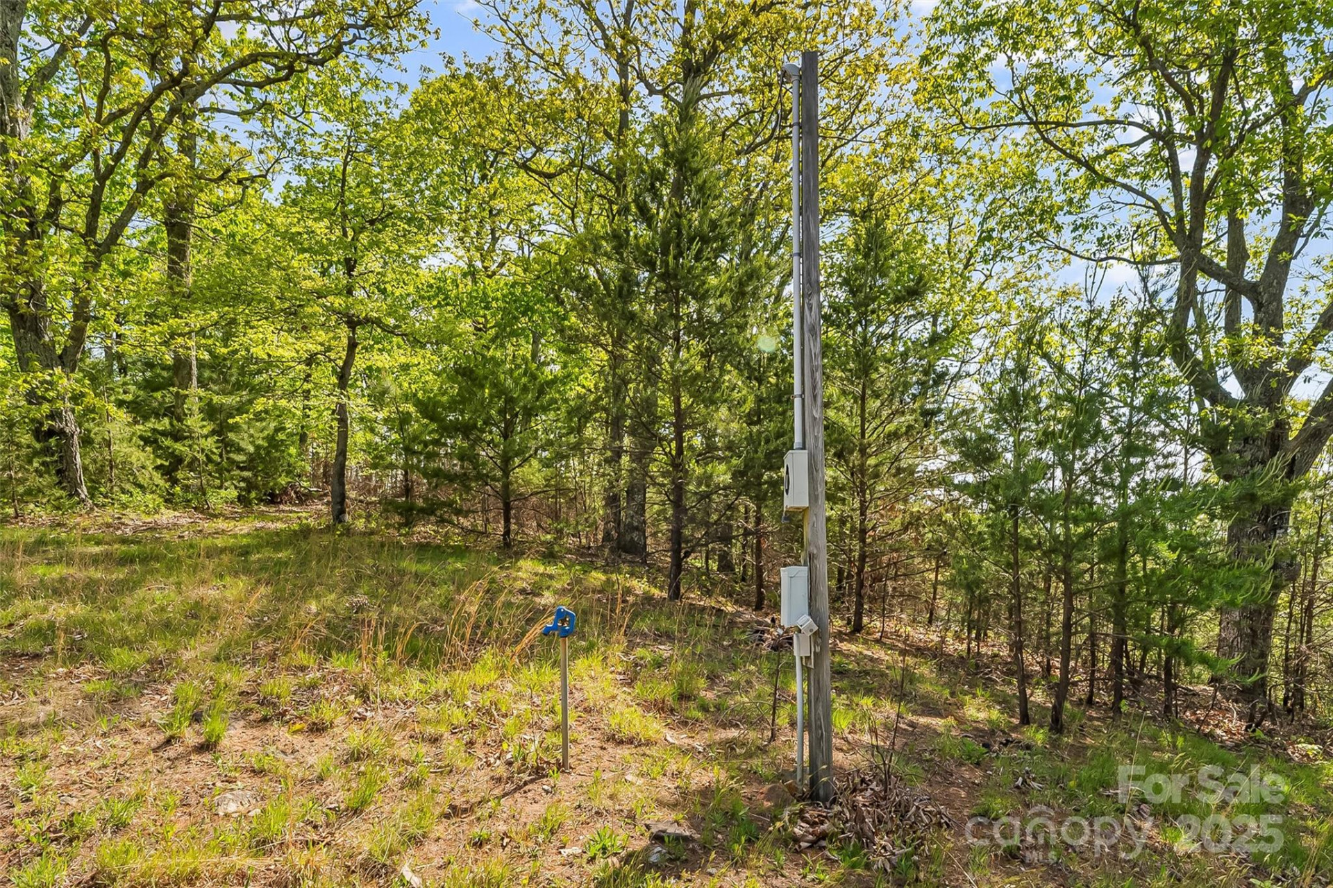 0 Burkemont Road - Photo 12