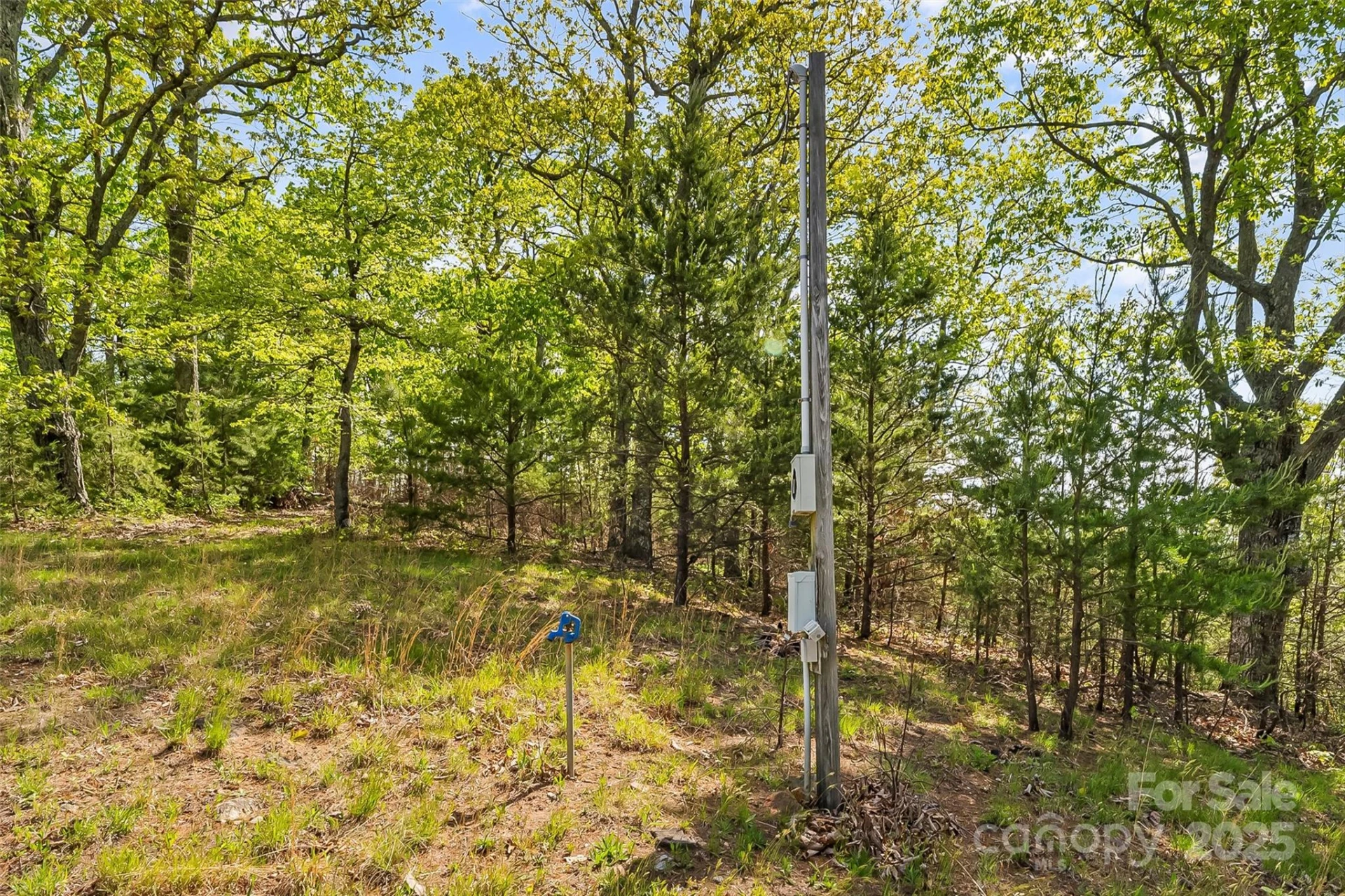 0 Burkemont Road - Photo 12