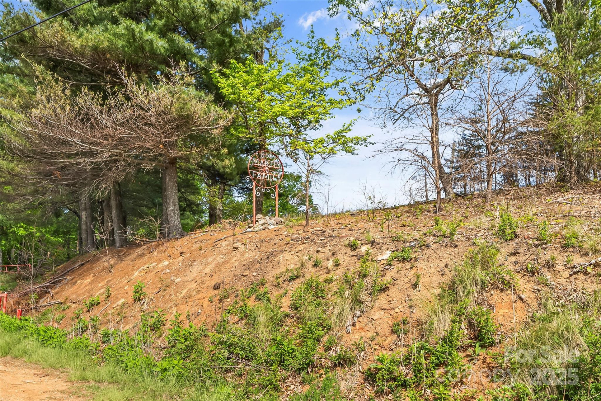 0 Burkemont Road - Photo 6