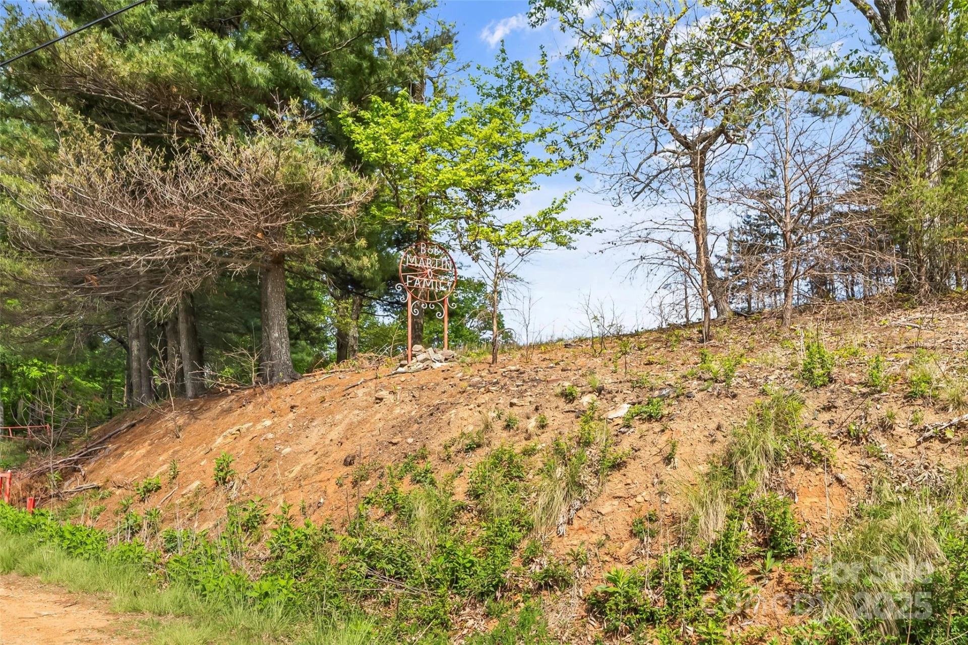 0 Burkemont Road - Photo 6