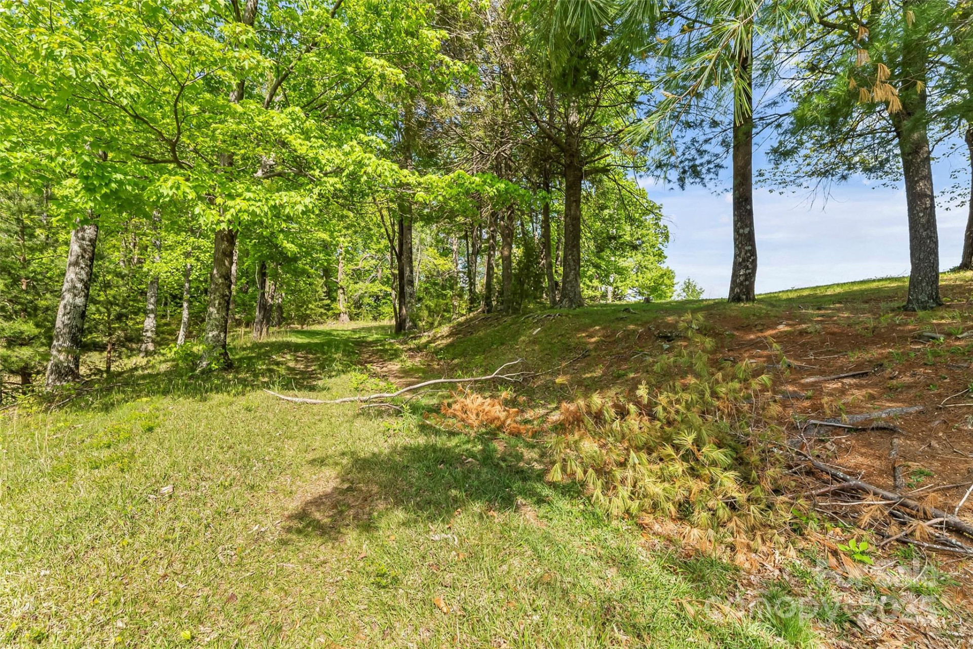 0 Burkemont Road - Photo 8