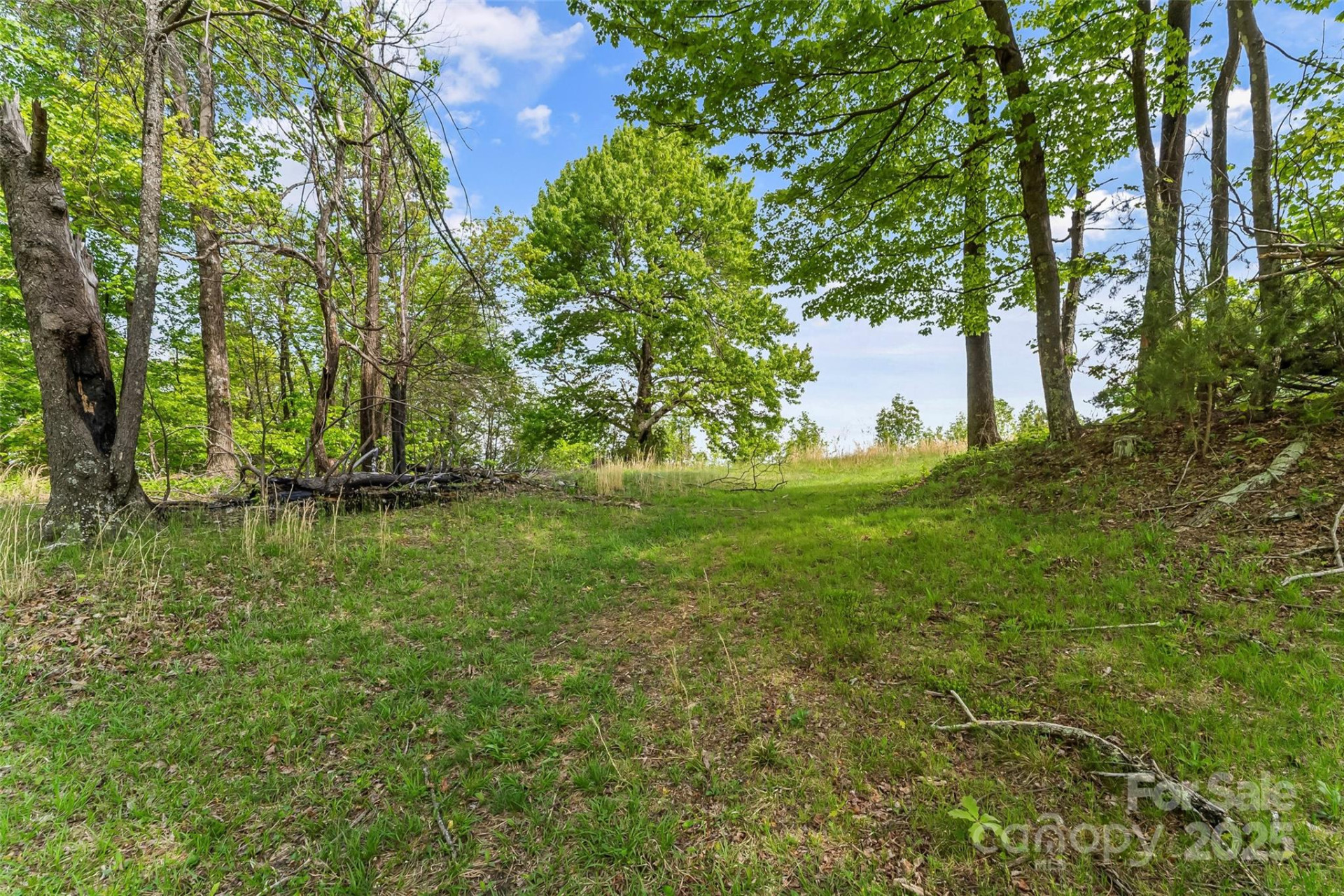 0 Burkemont Road - Photo 9