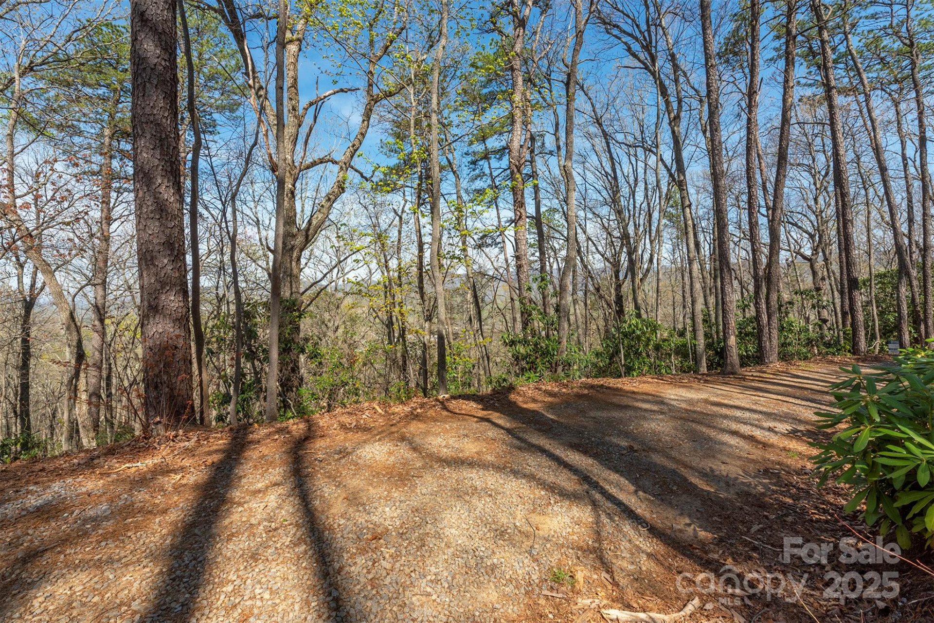 99999 Sunset Drive - Photo 12