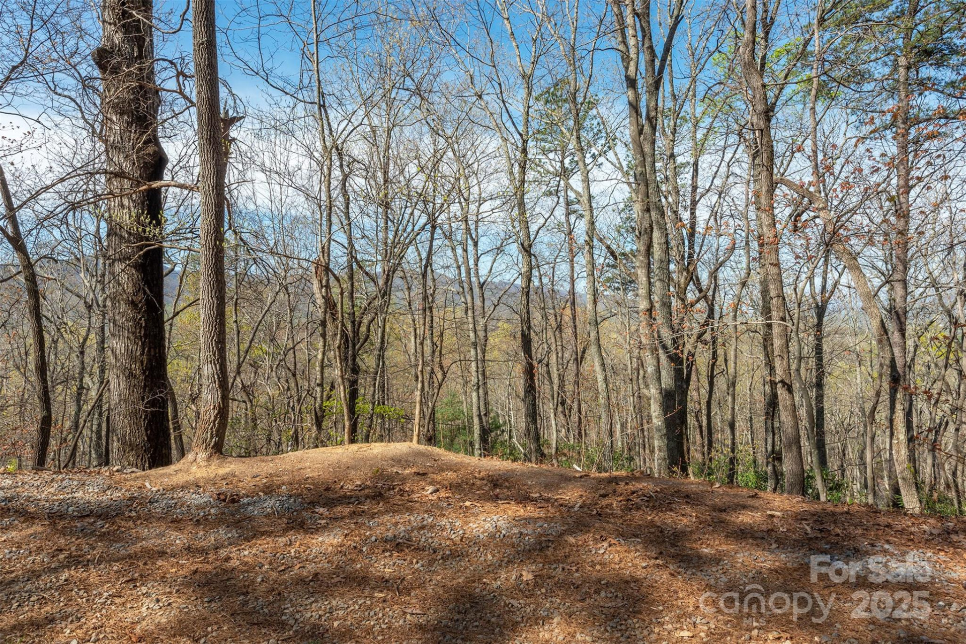 99999 Sunset Drive - Photo 13