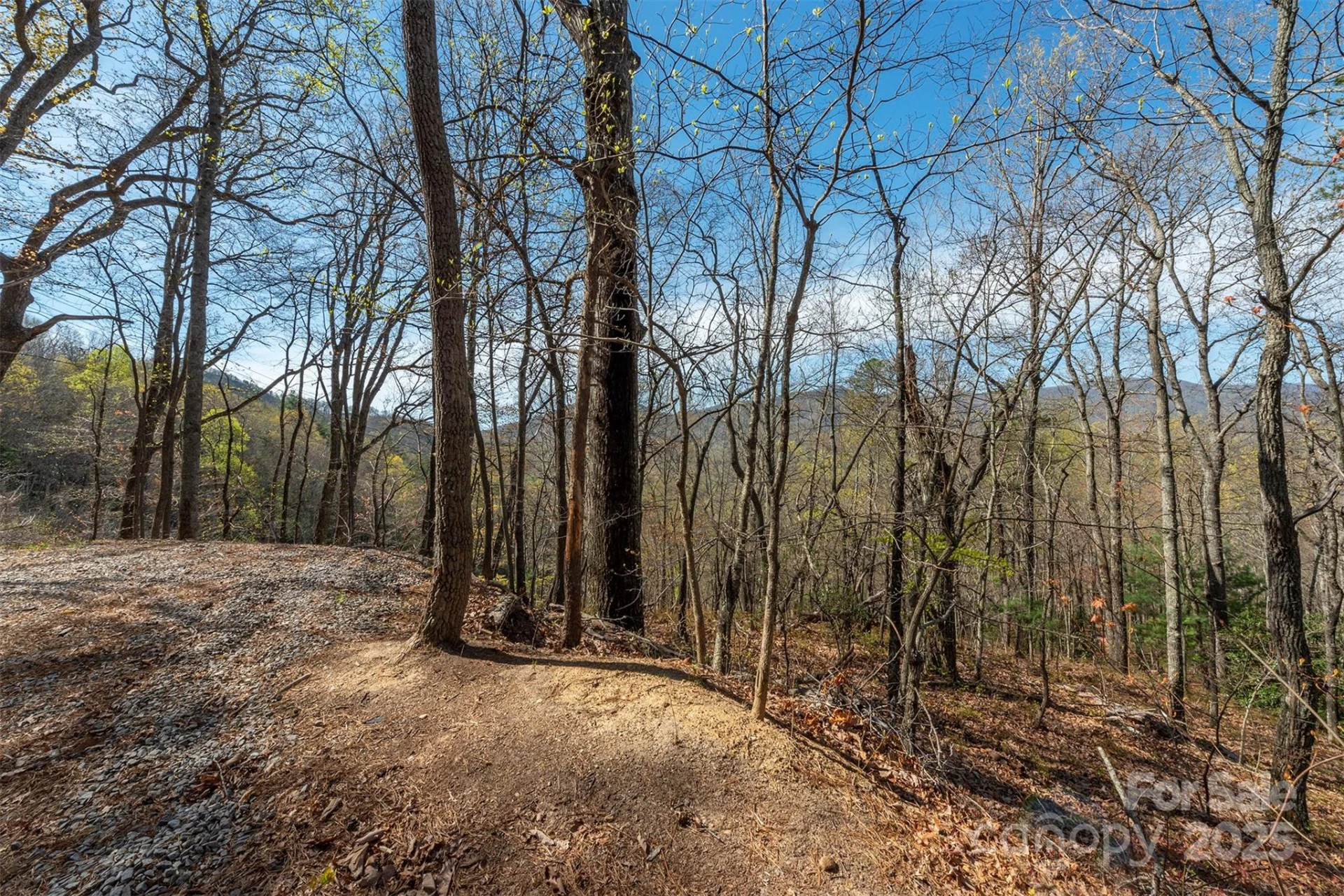99999 Sunset Drive - Photo 3