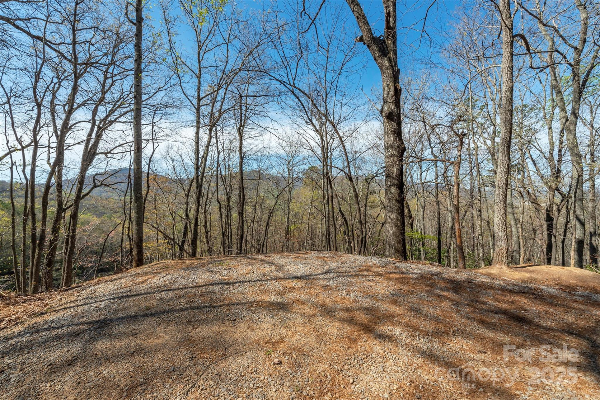 99999 Sunset Drive - Photo 4