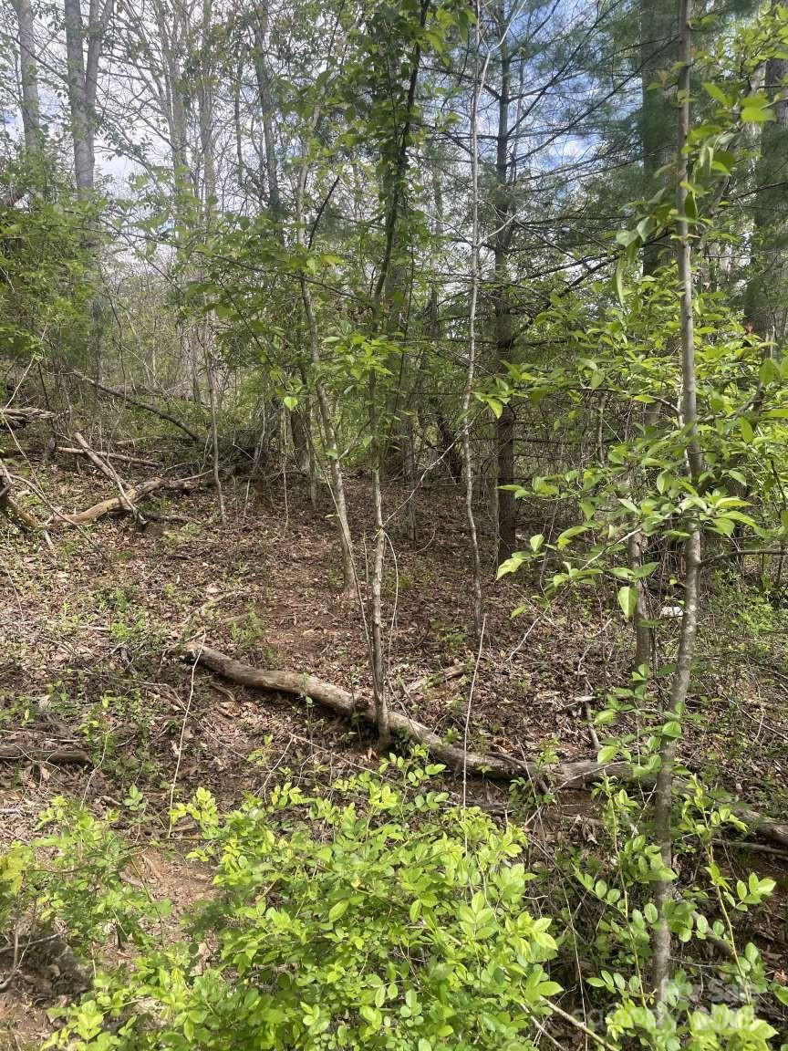 151 Richmond Ridge Road - Photo 4