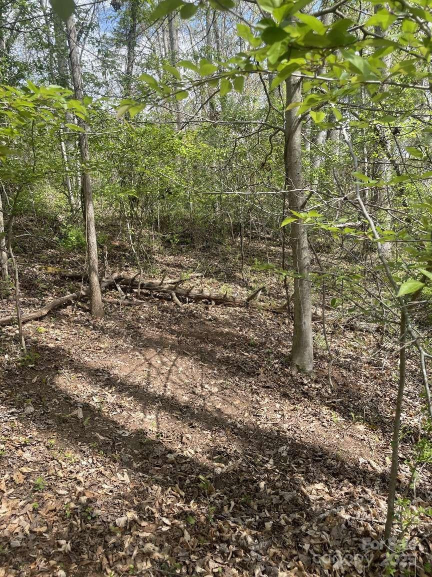 151 Richmond Ridge Road - Photo 5