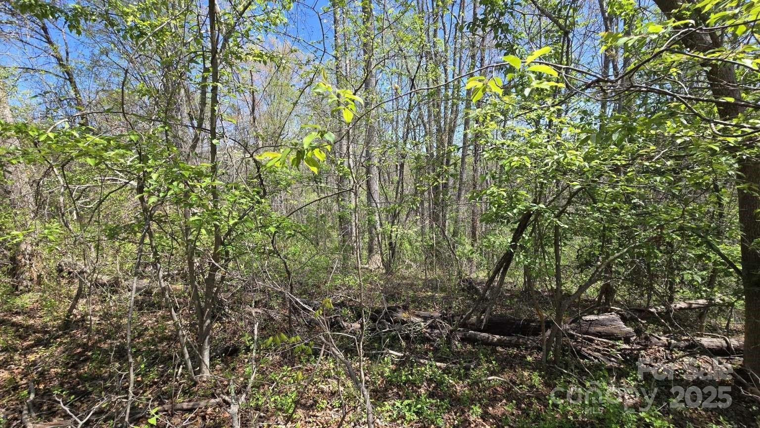 151 Richmond Ridge Road - Photo 6