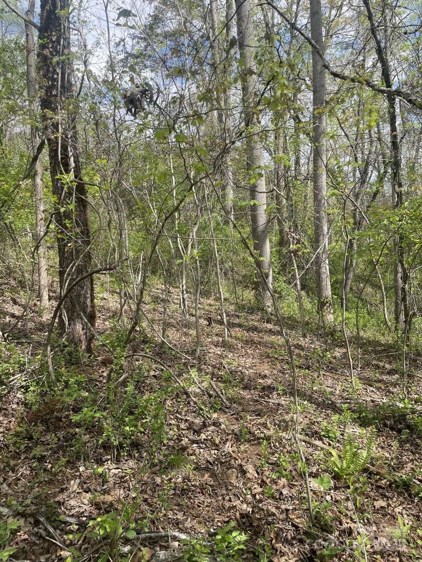 151 Richmond Ridge Road - Photo 7