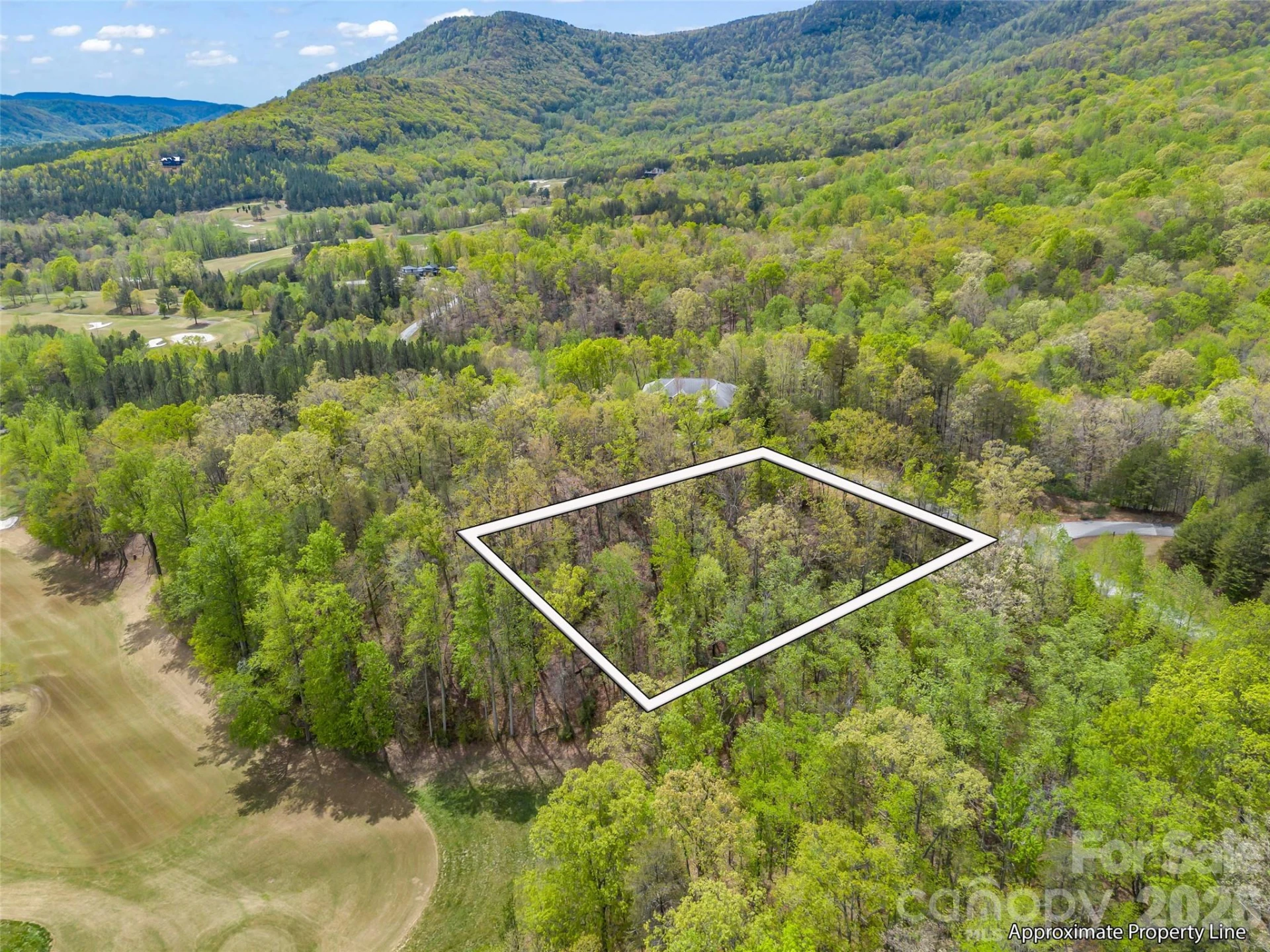 112 Deep Gap Farm Road - Photo 2