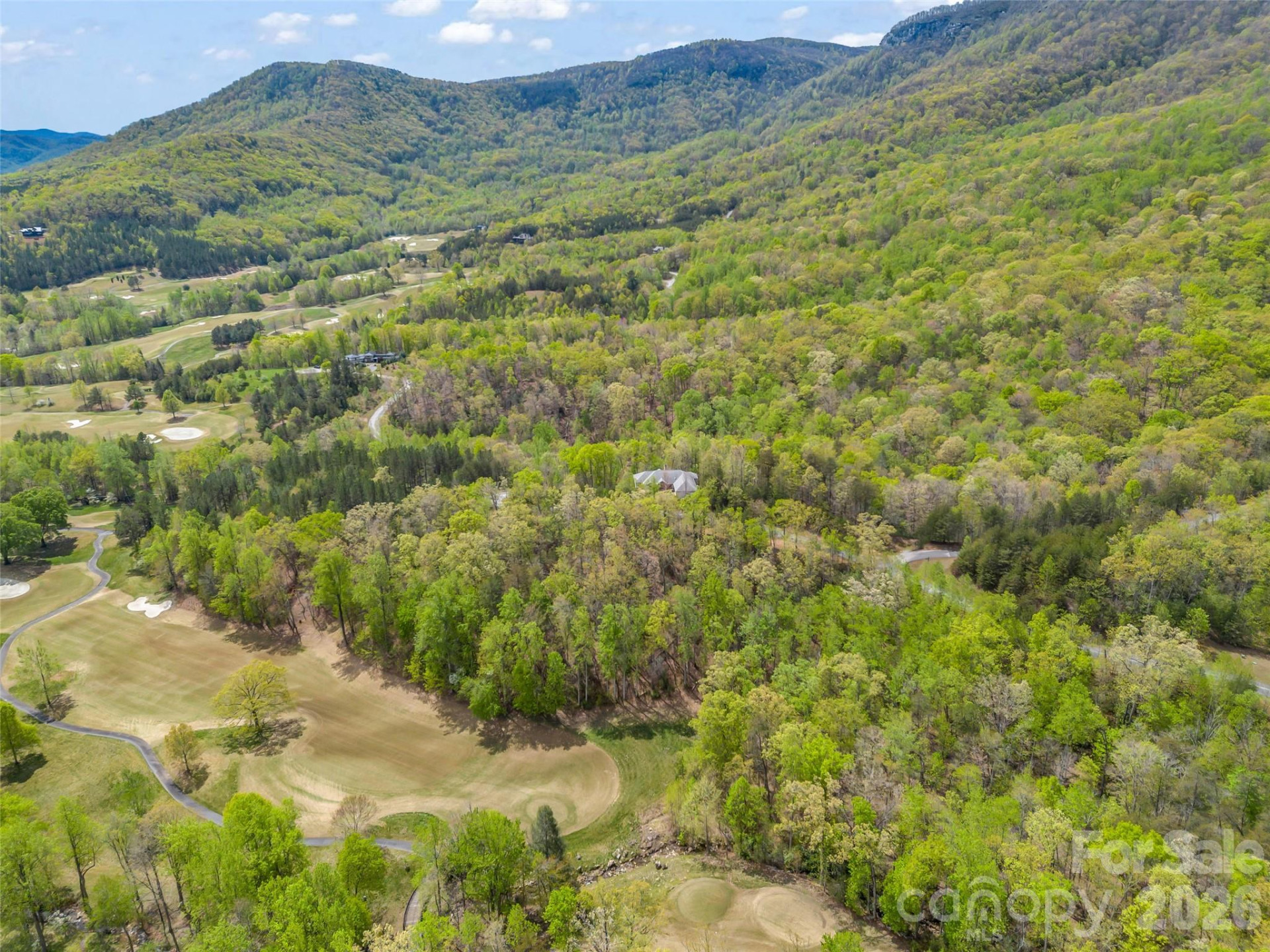 112 Deep Gap Farm Road - Photo 12