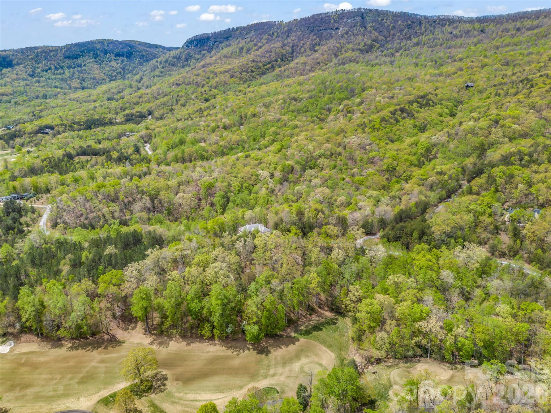 112 Deep Gap Farm Road - Photo 13