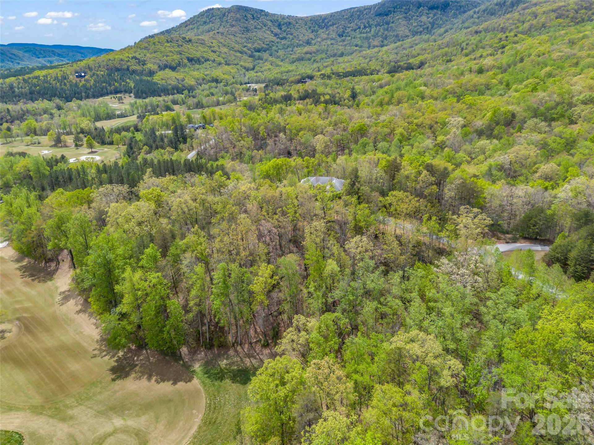 112 Deep Gap Farm Road - Photo 6