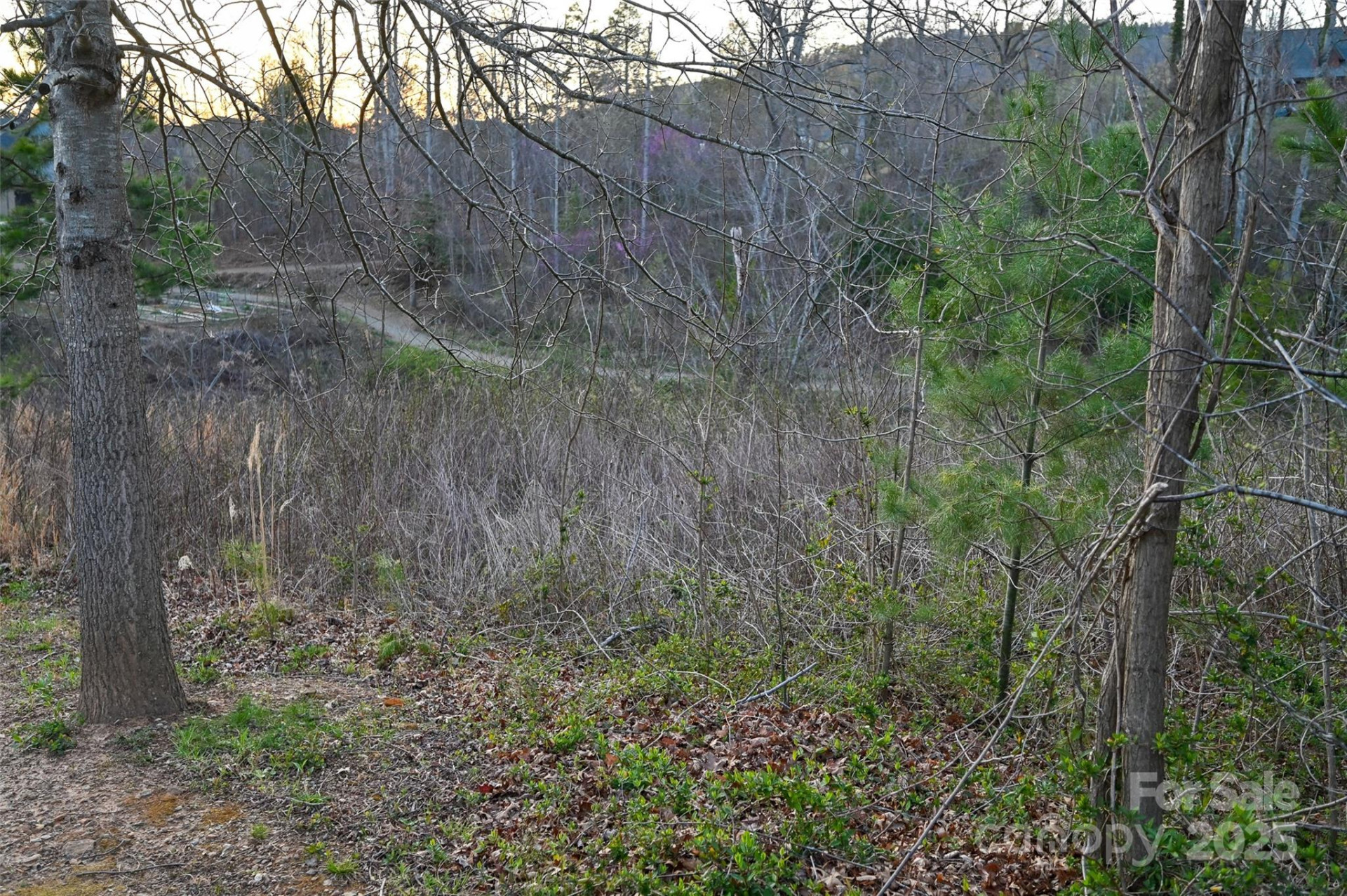 64 French Willow Drive - Photo 20