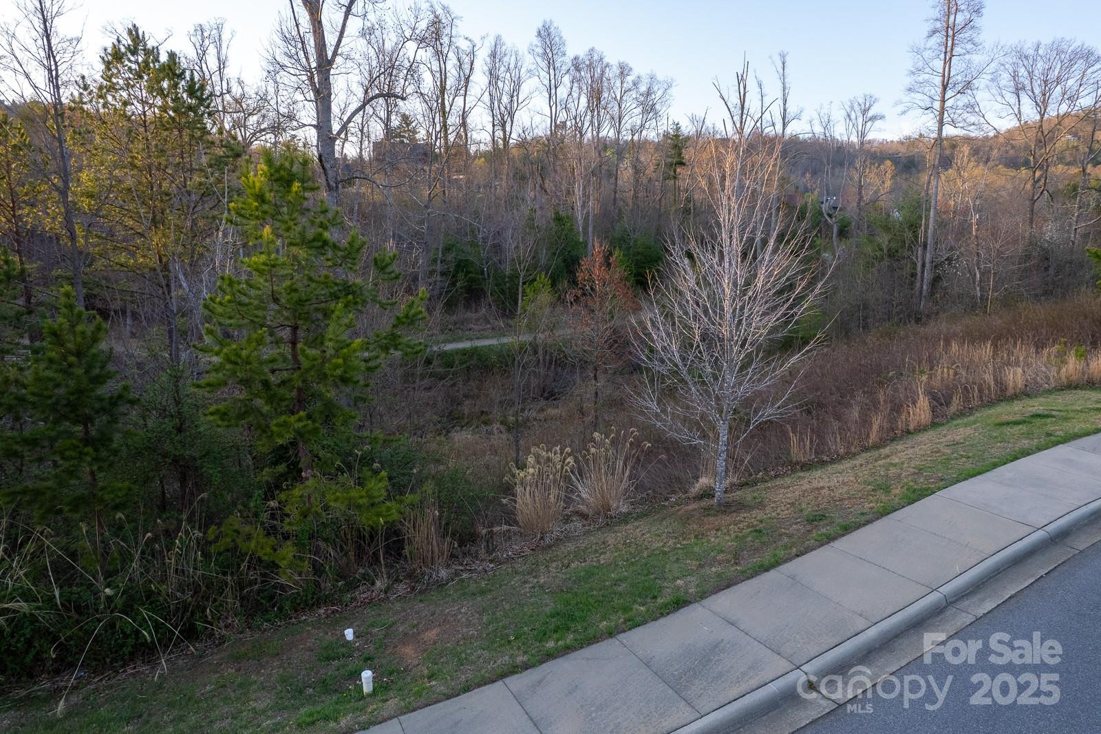 64 French Willow Drive - Photo 39
