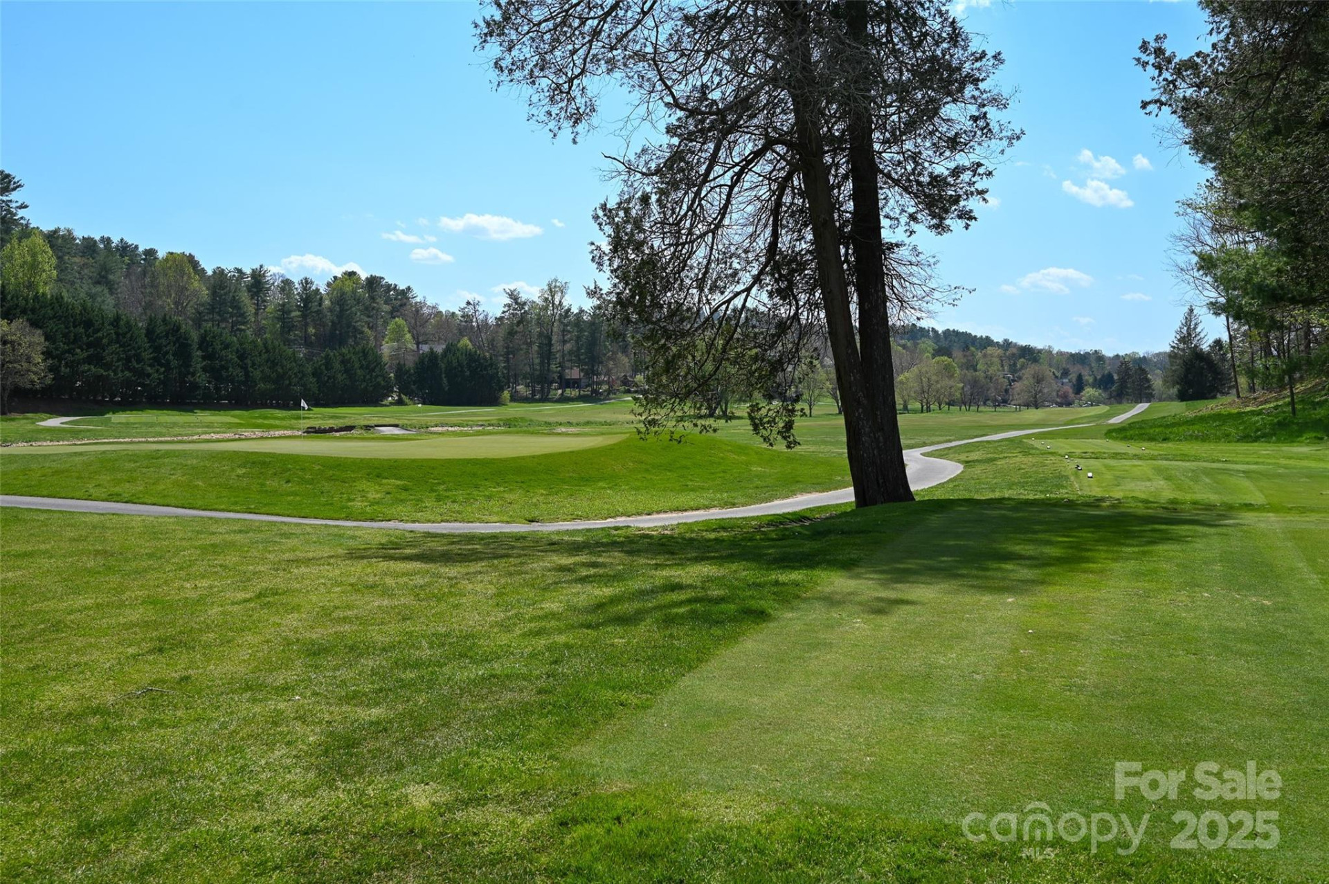 64 French Willow Drive - Photo 44