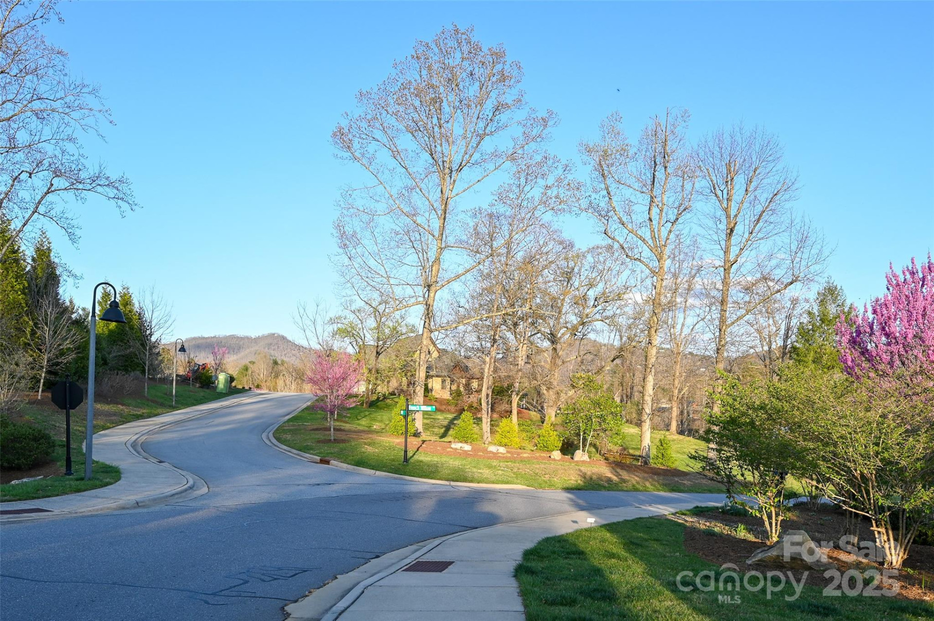 64 French Willow Drive - Photo 6