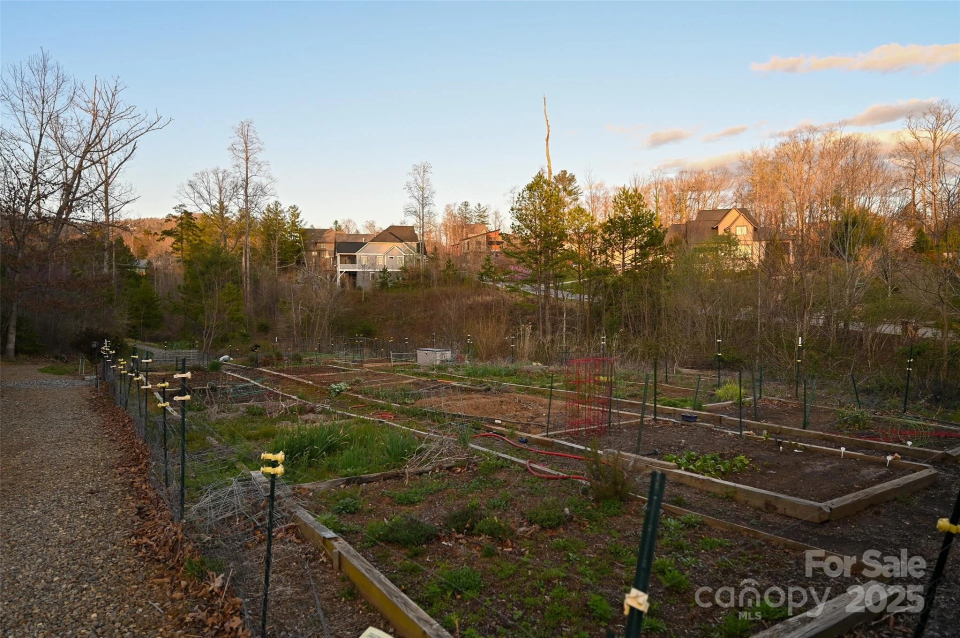 64 French Willow Drive - Photo 10