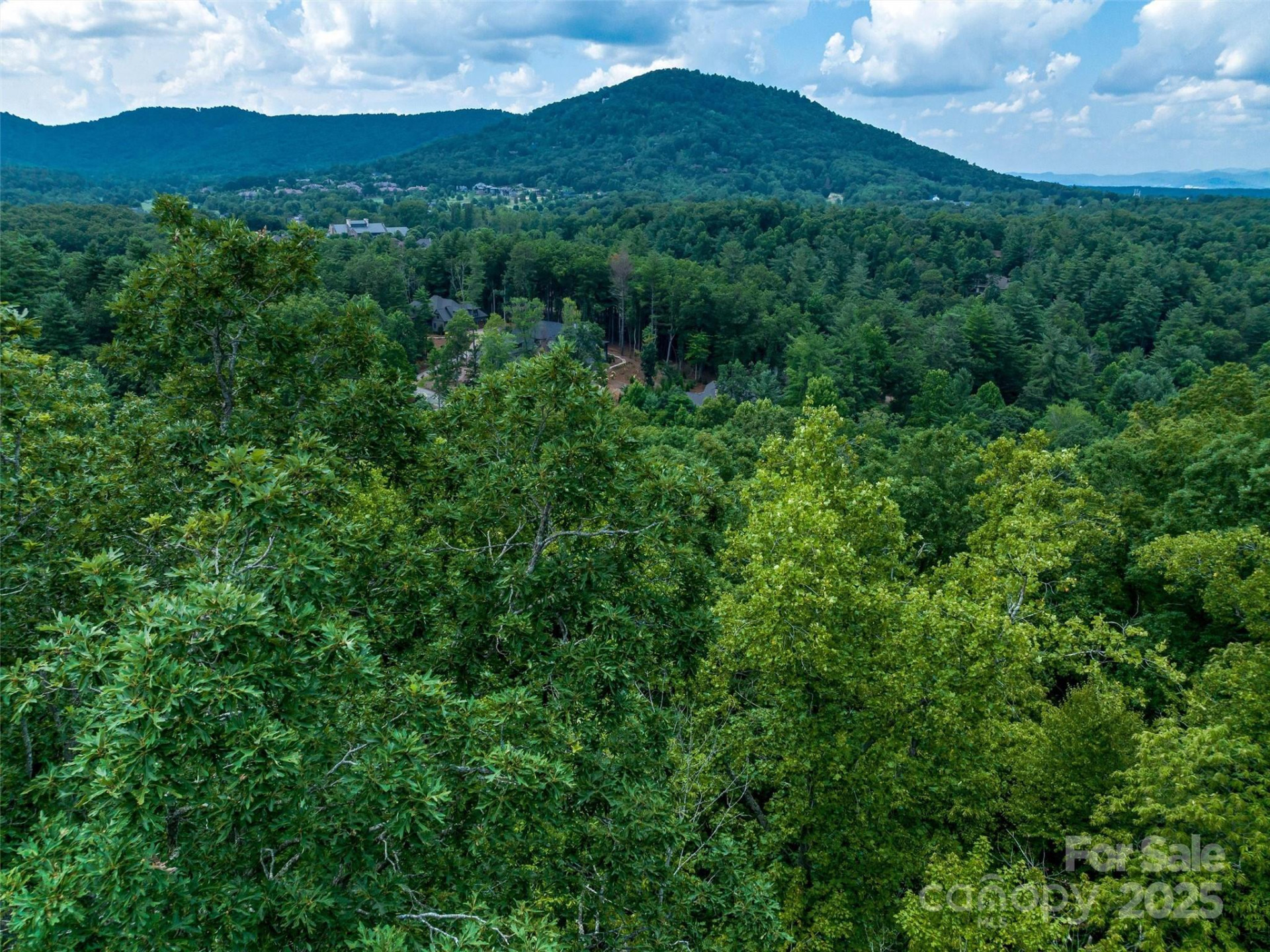 36 Dividing Ridge Trail #5 - Photo 2
