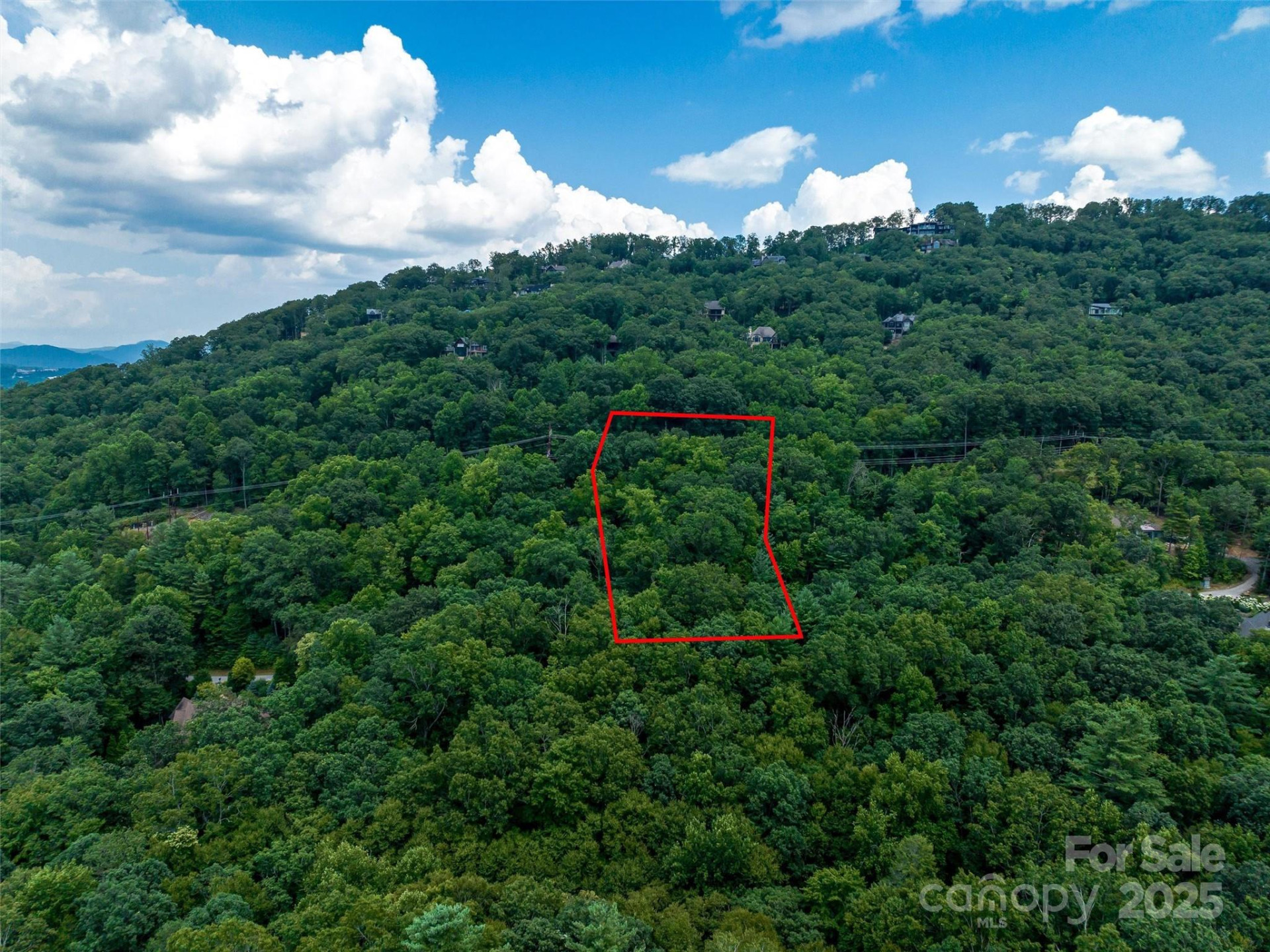 36 Dividing Ridge Trail #5 - Photo 11