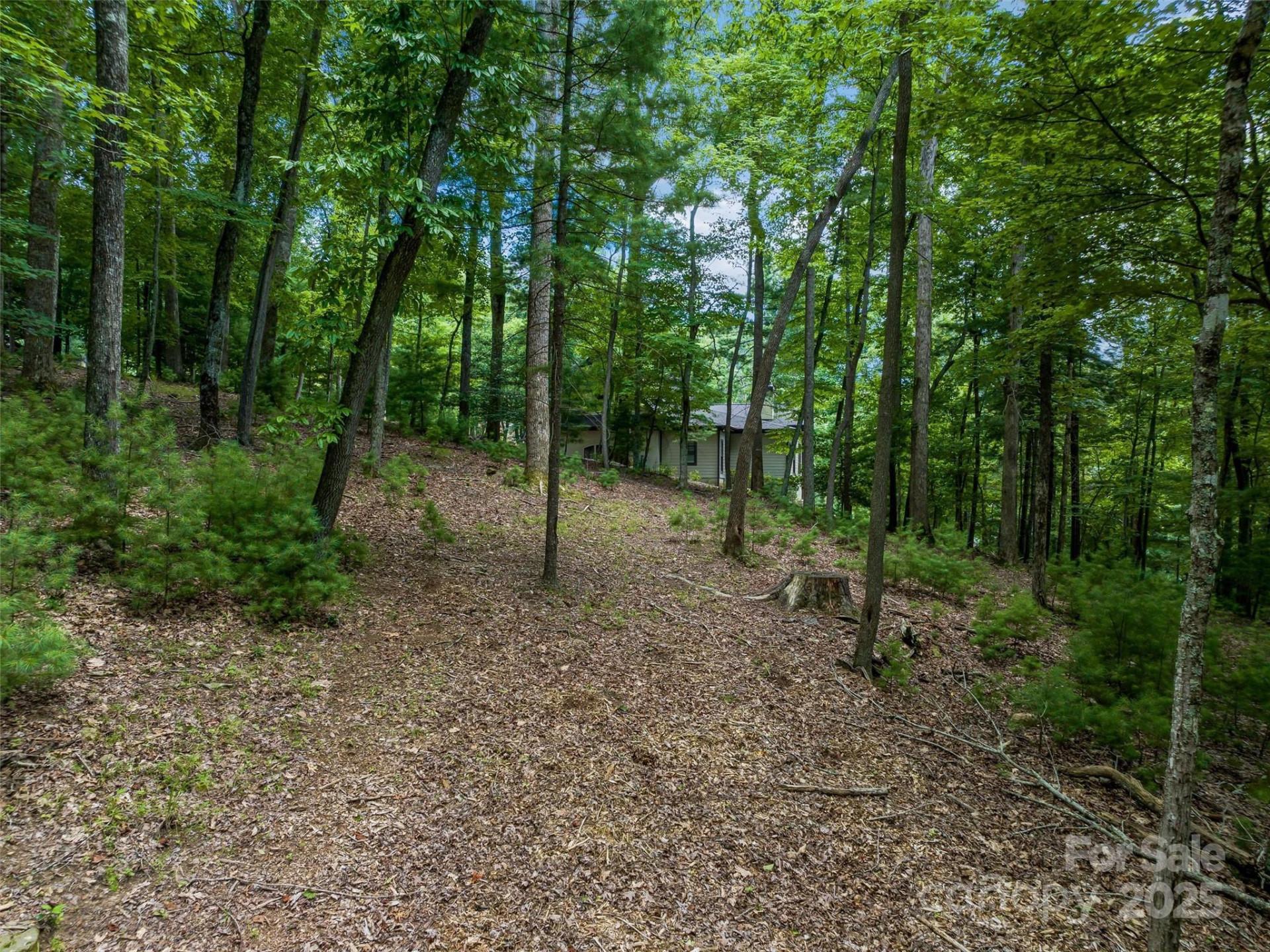 36 Dividing Ridge Trail #5 - Photo 14