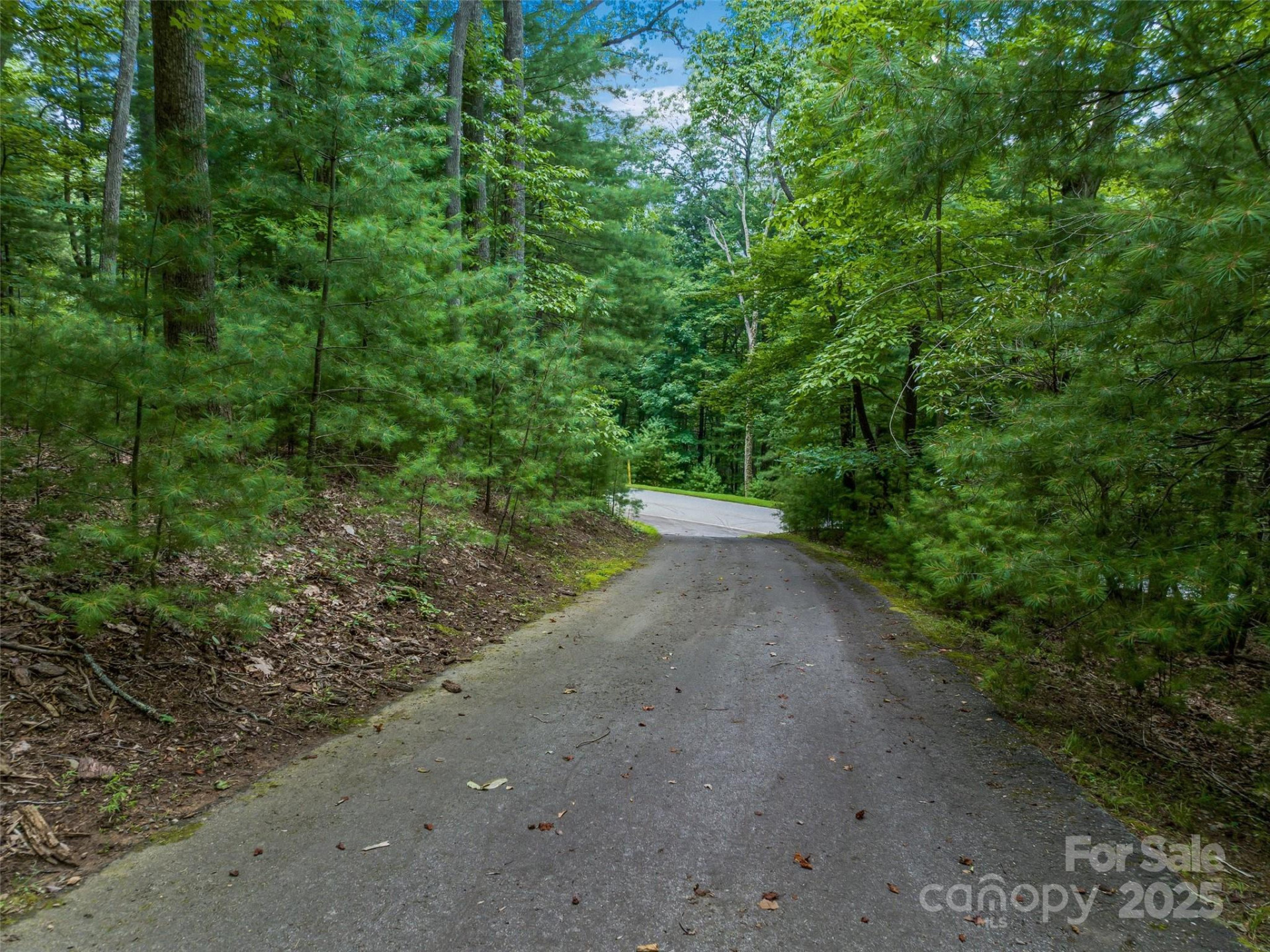 36 Dividing Ridge Trail #5 - Photo 17