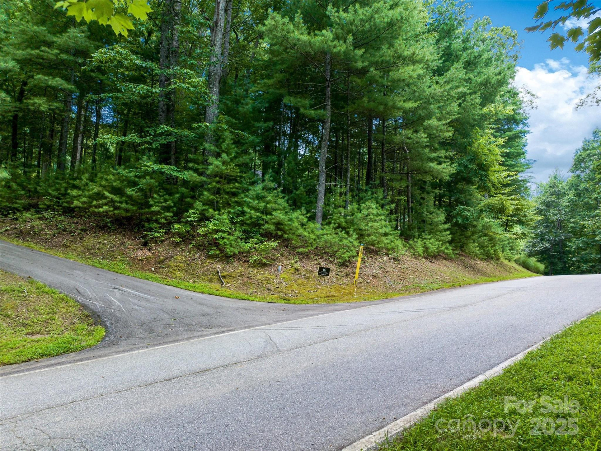 36 Dividing Ridge Trail #5 - Photo 4