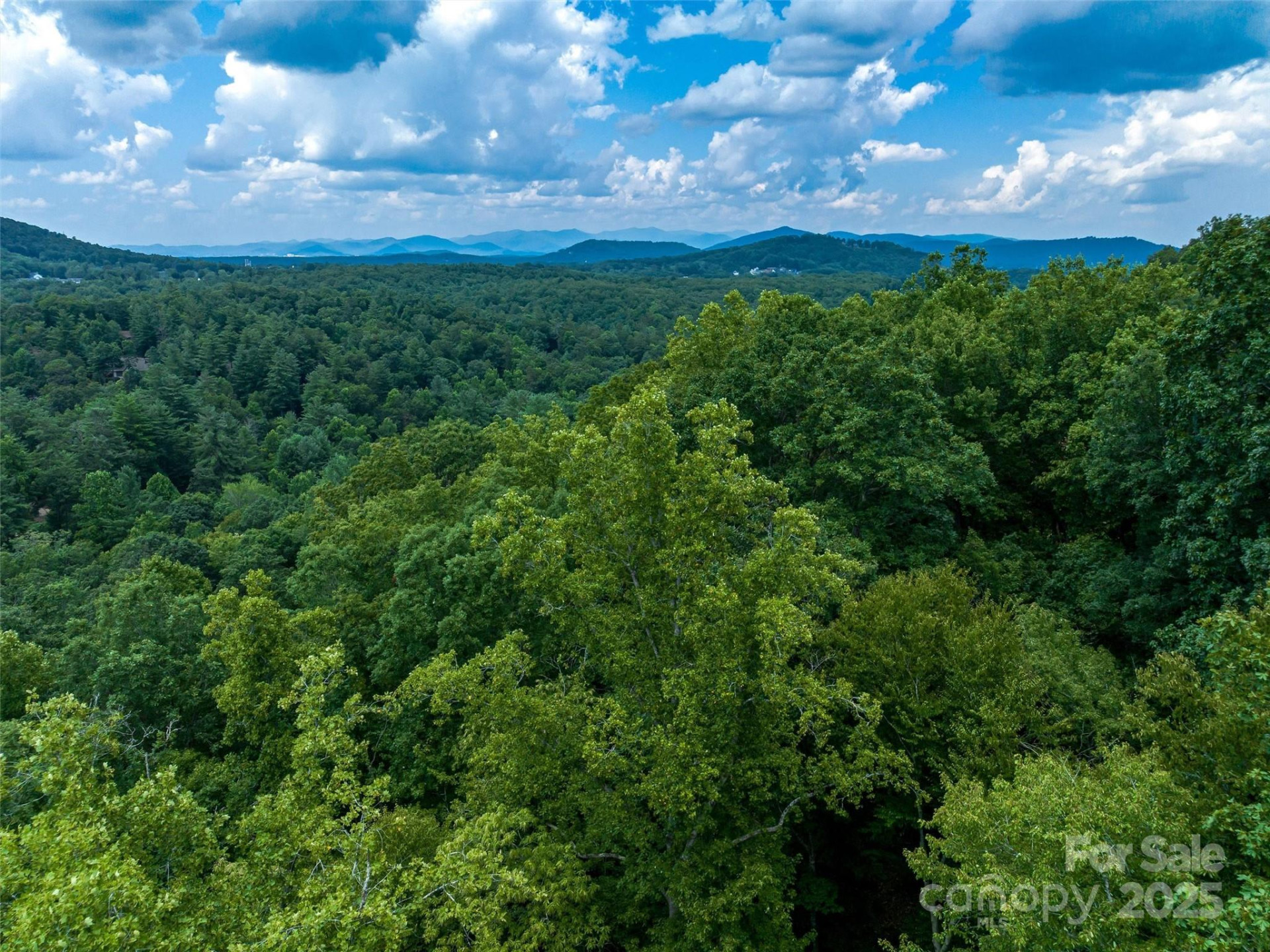 36 Dividing Ridge Trail #5 - Photo 8