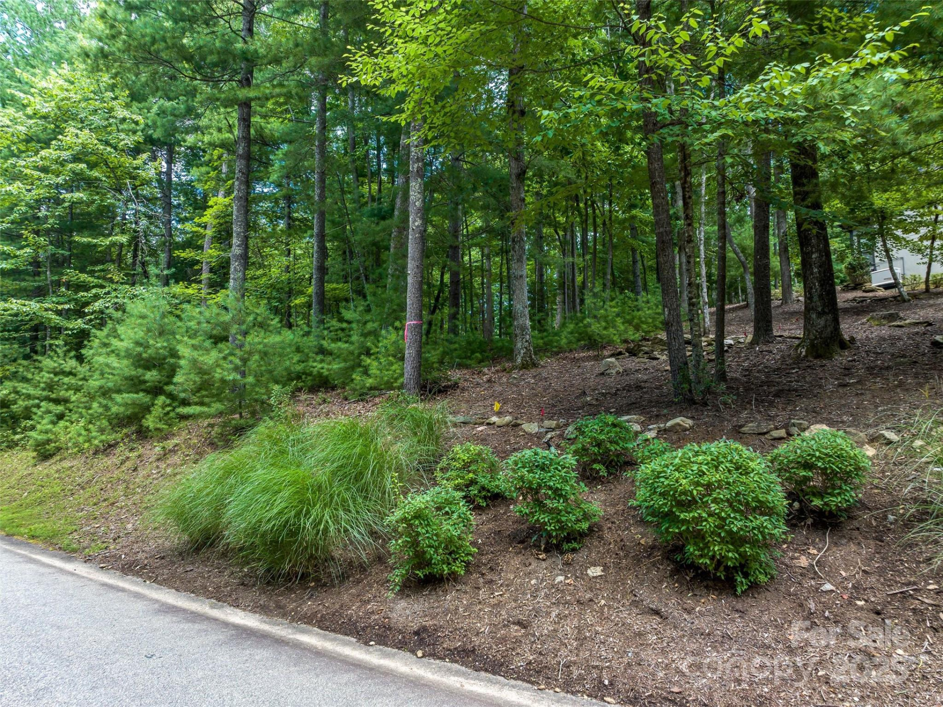 36 Dividing Ridge Trail #5 - Photo 9