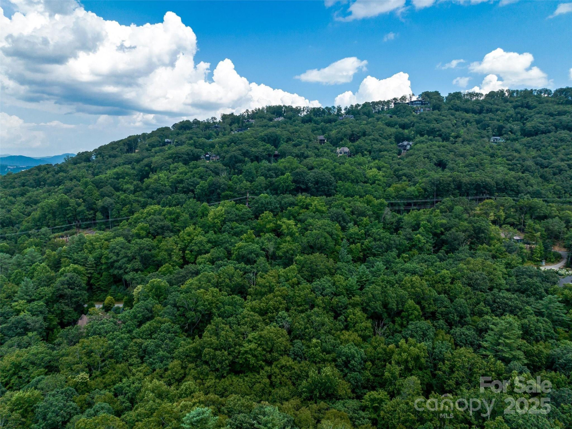 36 Dividing Ridge Trail #5 - Photo 10