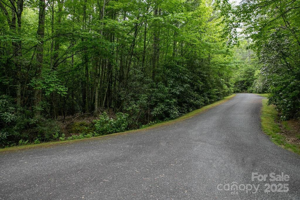 Lt 306 Old Spring Road #306 - Photo 12