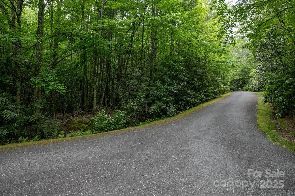 Lt 306 Old Spring Road #306 - Photo 12