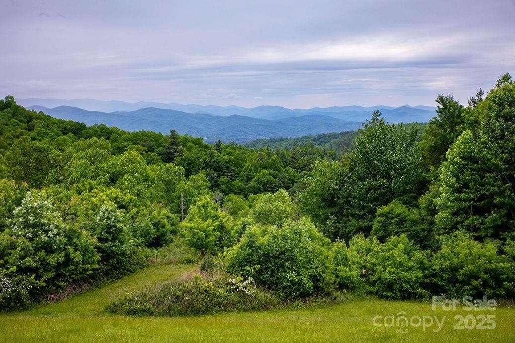 Lt 306 Old Spring Road #306 - Photo 15