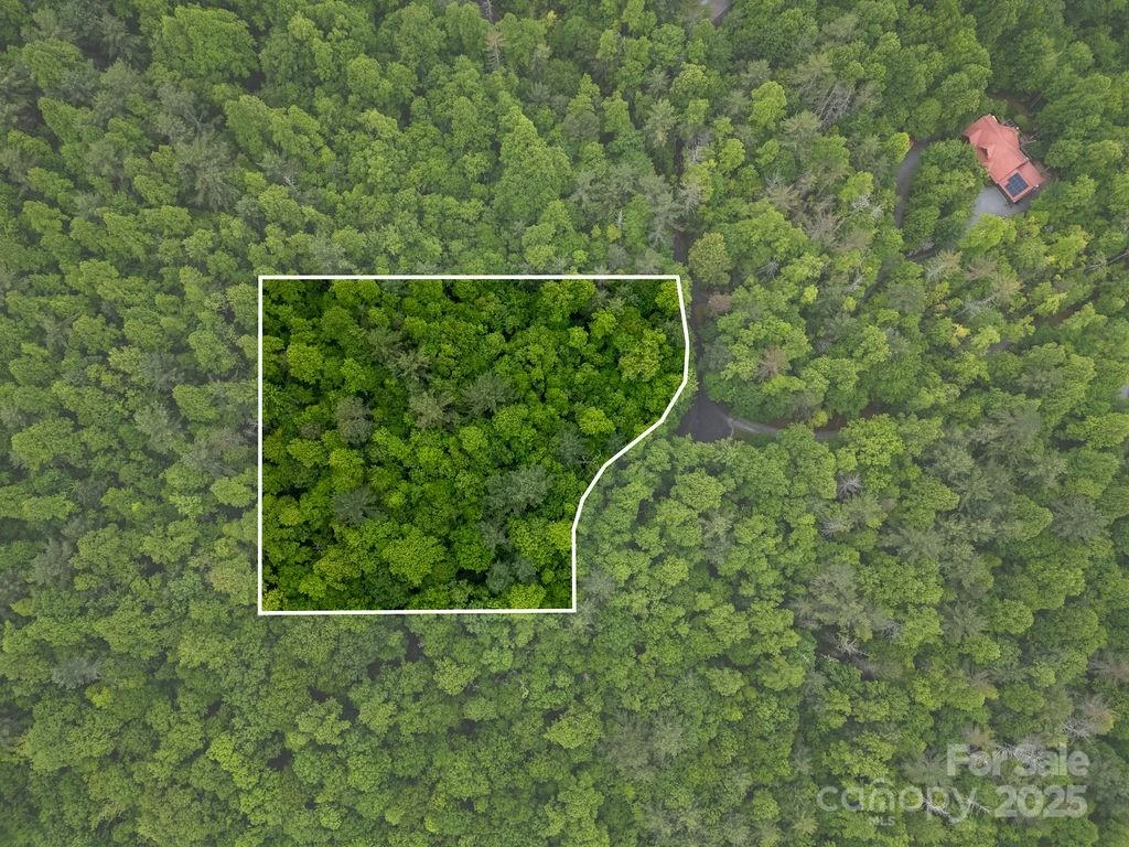 Lt 306 Old Spring Road #306 - Photo 16