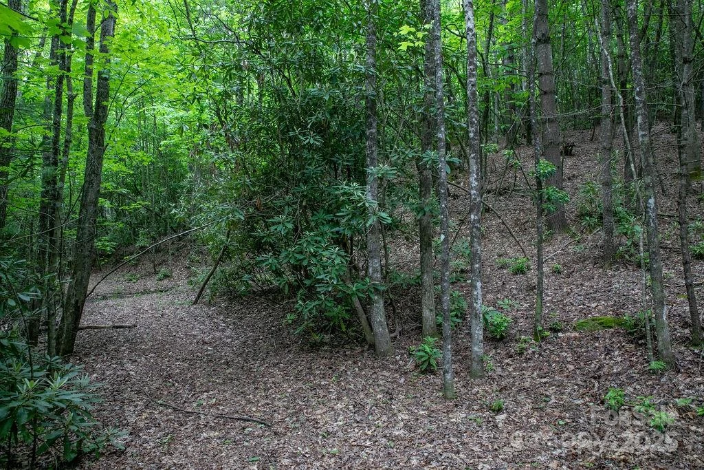Lt 306 Old Spring Road #306 - Photo 17
