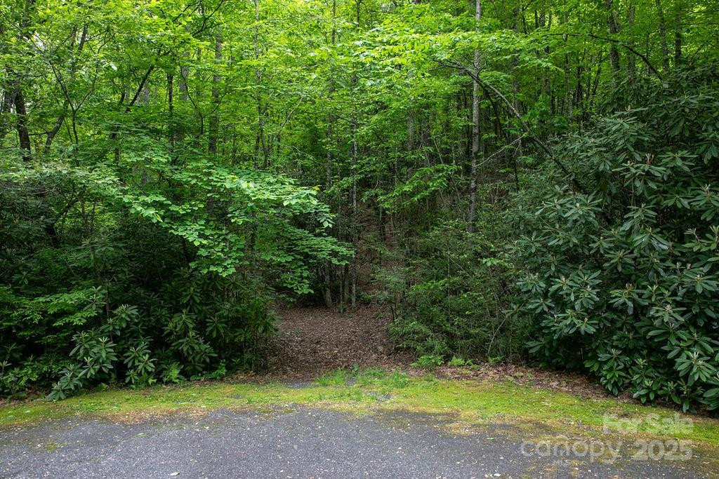 Lt 306 Old Spring Road #306 - Photo 18