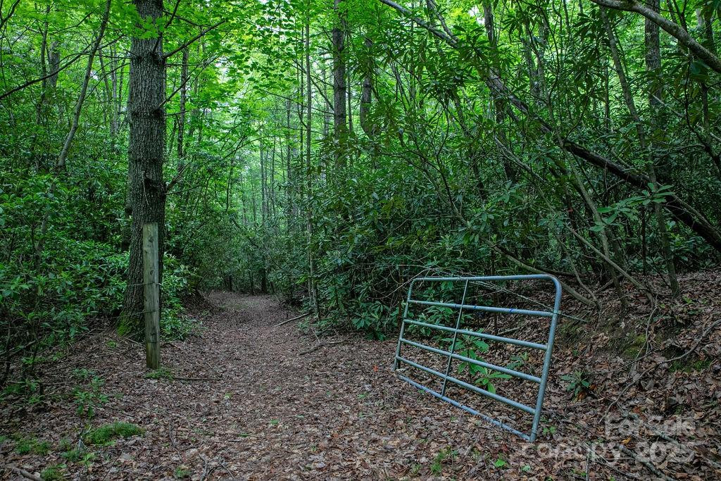 Lt 306 Old Spring Road #306 - Photo 19