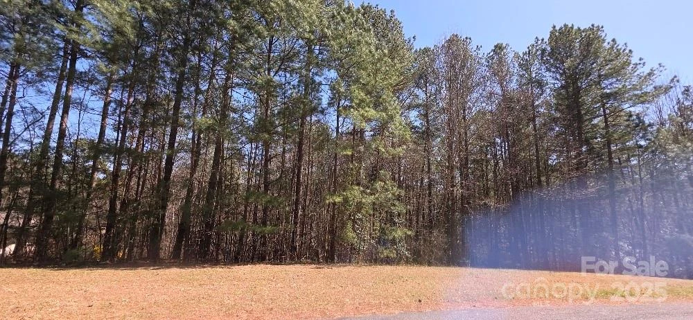208 Ridge Top Drive - Photo 2